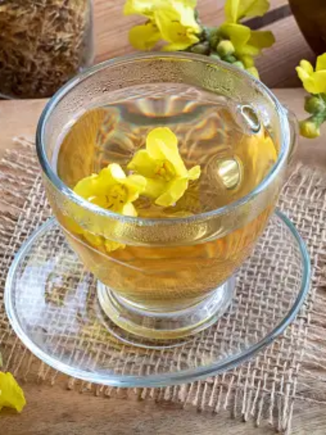 mullein tea